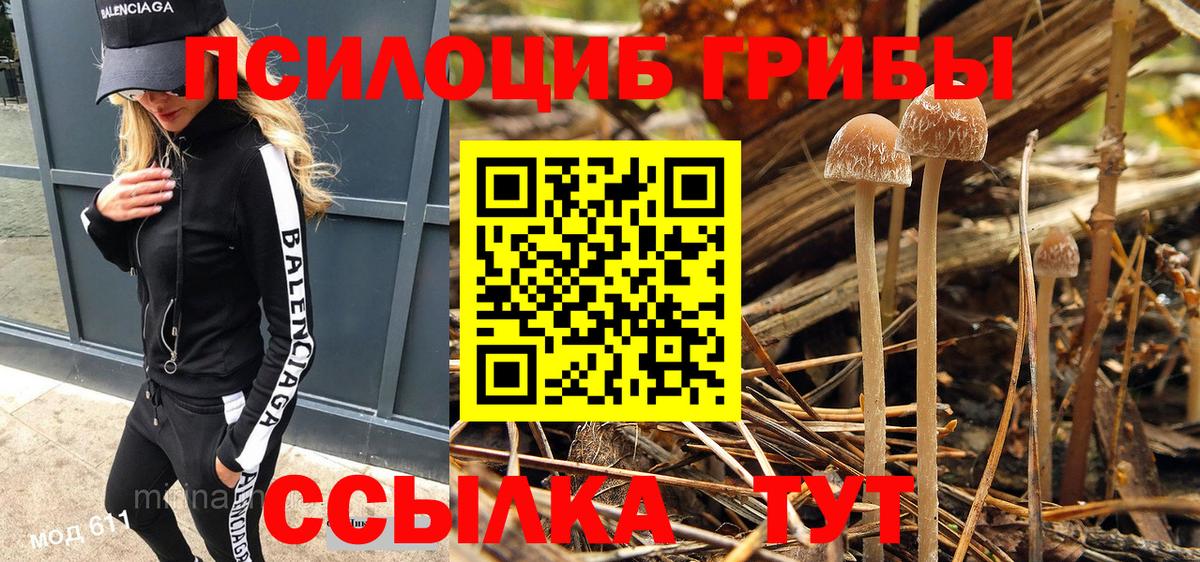 Галлюциногенные грибы мицелий Кинель