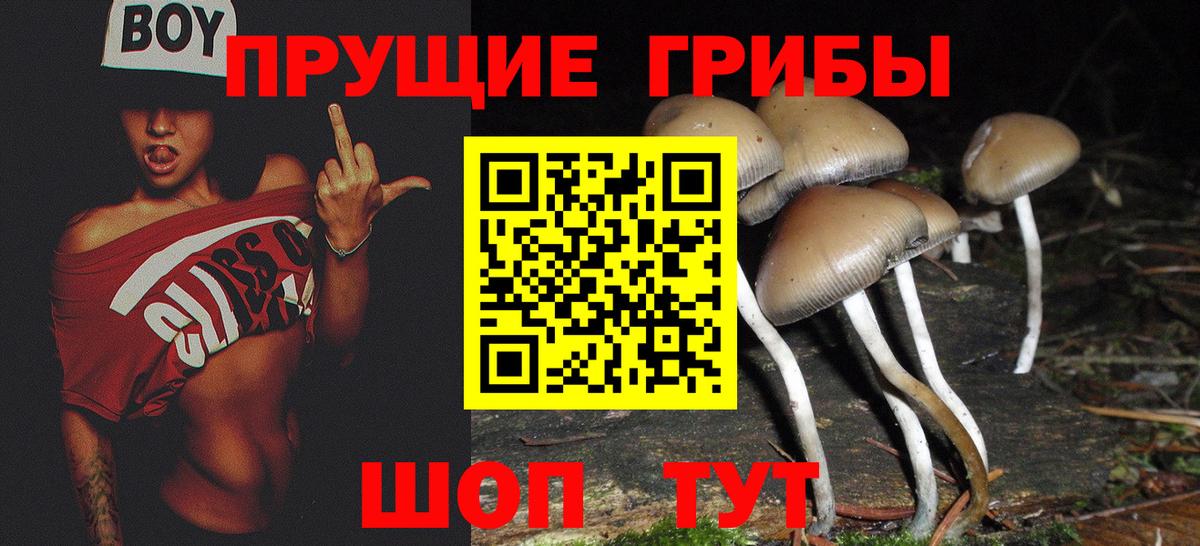 Псилоцибиновые грибы мухоморы  Вход с VPN  где купить   Кинель 